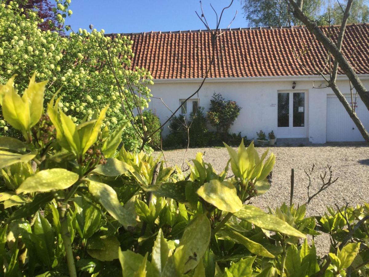 Gites Les Amis De L Authie Maintenay Exterior photo